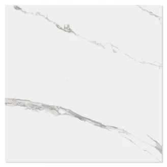 Marmor Klinker Lucid Vit Blank 60x60 cm-2